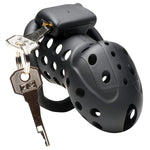 Lock Down Chastity Cage - Black Default Title