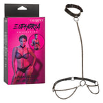 Euphoria Collection Chain Halter/collar and Leash - Black Default Title