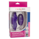Lock-N-Play Remote Suction Panty Teaser - Purple Default Title