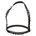 Euphoria Collection Halter Buckle Harness - Black Default Title