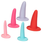 CalExotics She-Ology 5-Piece Wearable Vaginal Dilator Set — dildo at Stuffgoodies
