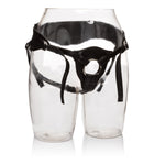 "Her Royal Harness the Queen - Boxed SE1565153"