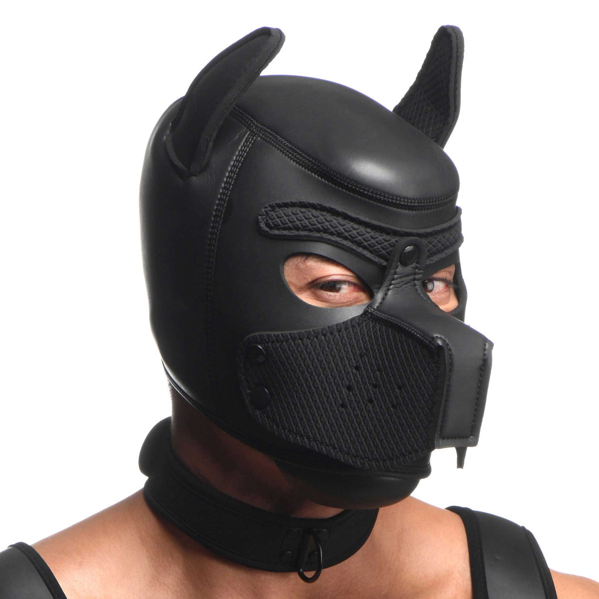 full pup arsenal set neoprene puppy hood chest harness collar with leash and arm band black