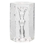 Girls Girls Girls - Farrah - Clear