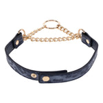 Sportsheets Cougar Day Collar — blue bondage toy at Stuffgoodies