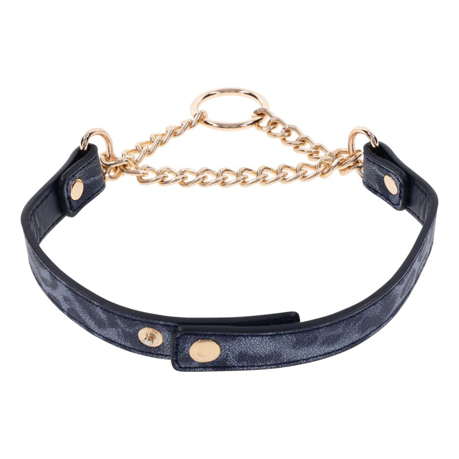 Sportsheets Cougar Day Collar — blue bondage toy at Stuffgoodies