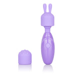 "Dr. Laura Berman Olivia Rechargeable Mini Massager With Attachments SE9730503"