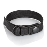 CalExotics Leather Cinch — cock ring at Stuffgoodies