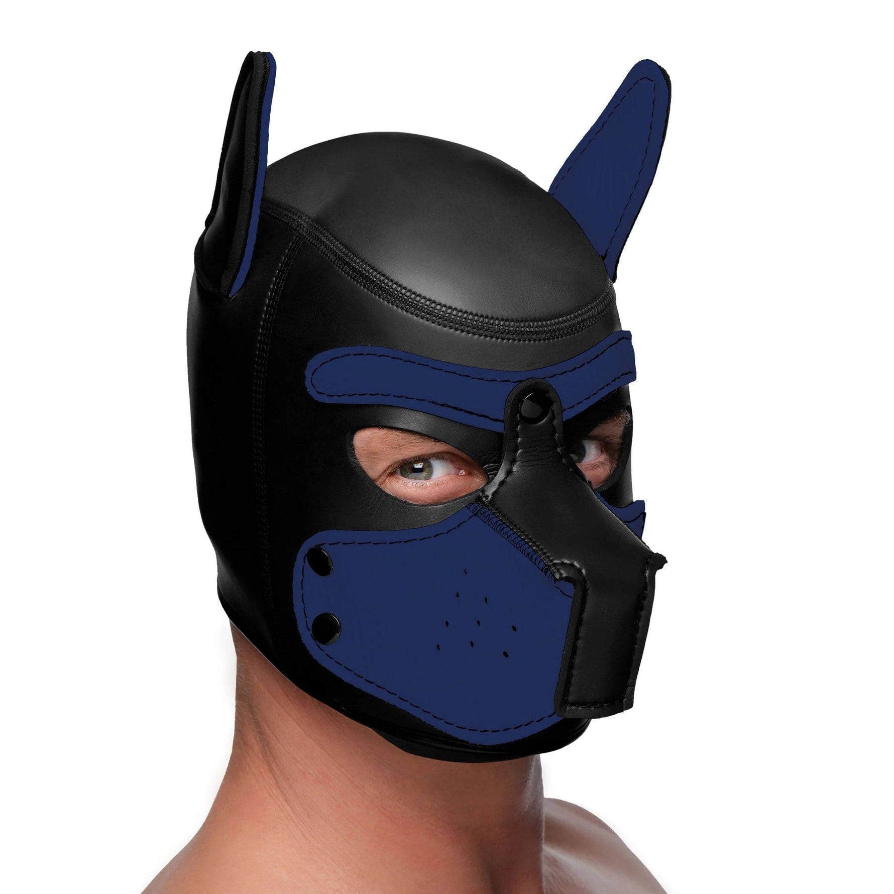 Spike Neoprene Puppy Hood - Blue Default Title