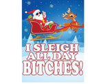 Sleigh All Day Gift Bag
