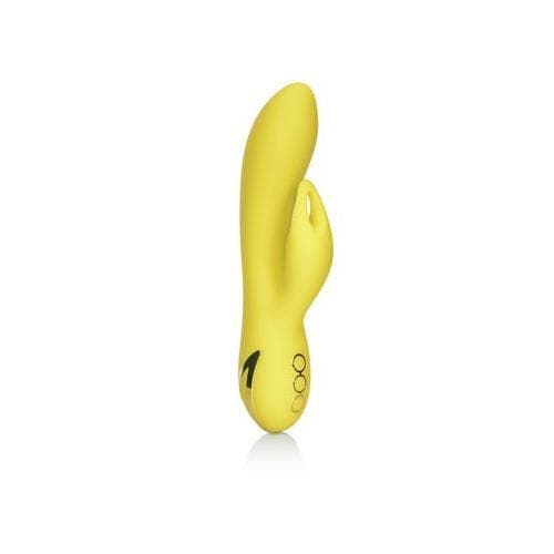 California Dreaming Venice Vixen